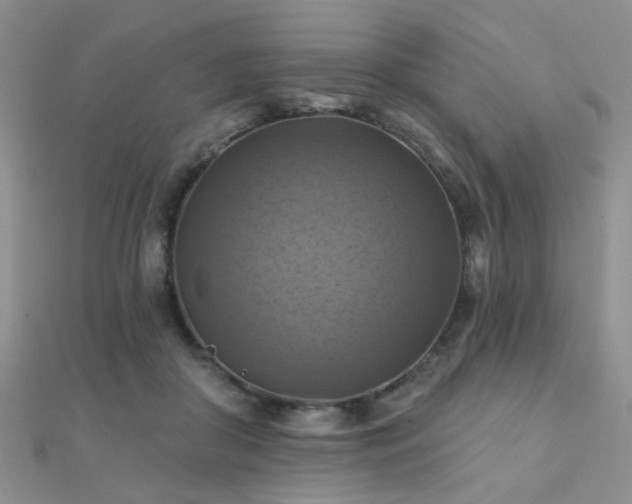X0000112030410200908101343