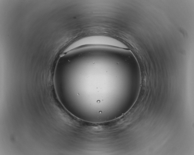 X0000112030411200908101343