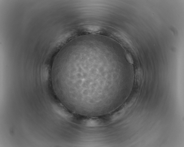 X0000112030412200908101343