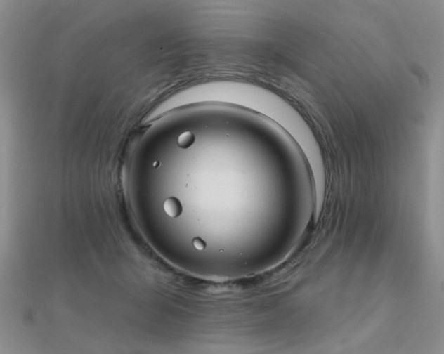 X0000112030415200908101343