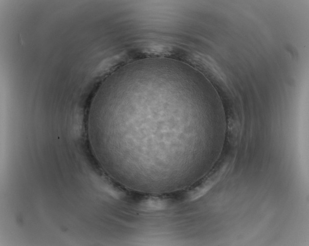X0000112030416200908101343