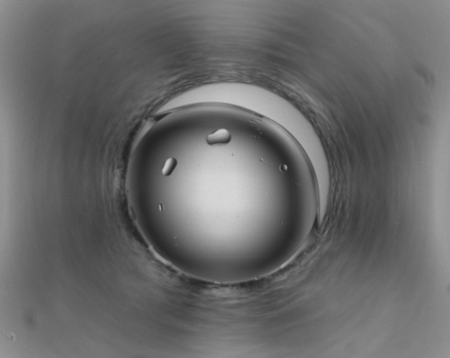 X0000112030417200908101343
