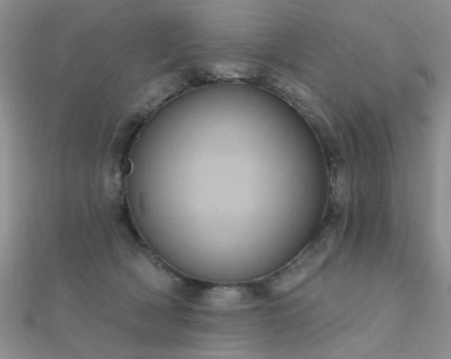 X0000112030418200908101343