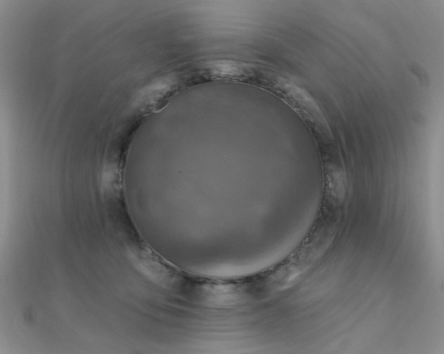 X0000112030419200908101343