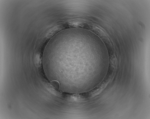 X0000112030420200908101343