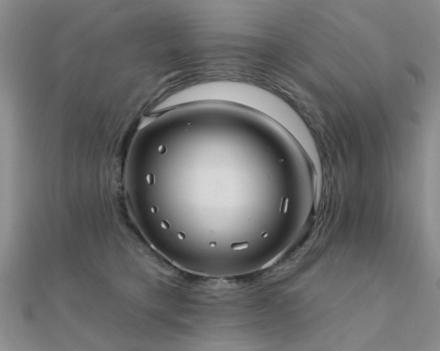 X0000112030421200908101343