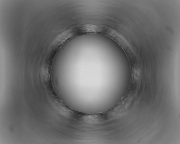 X0000112030422200908101343