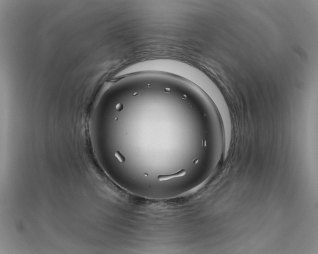 X0000112030423200908101343