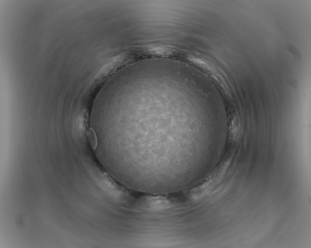 X0000112030424200908101343