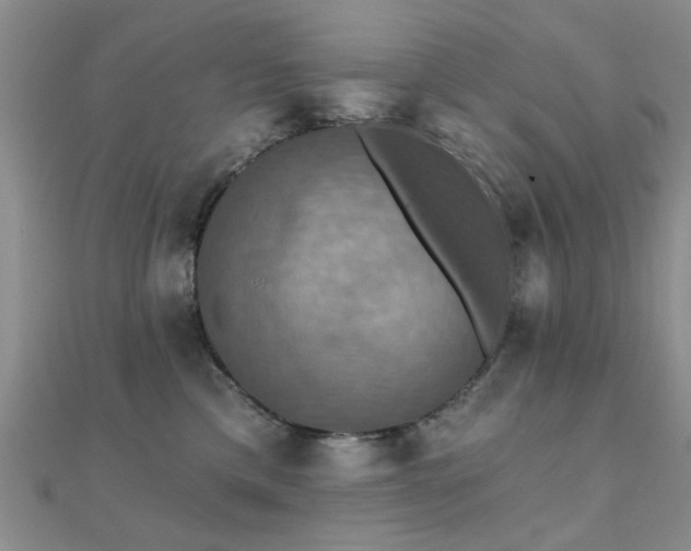 X0000112030425200908101343