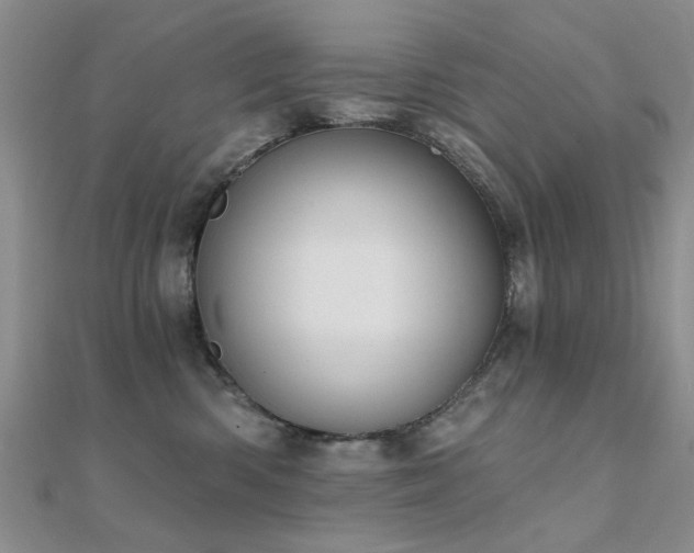 X0000112030426200908101343