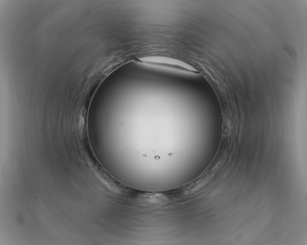 X0000112030427200908101343