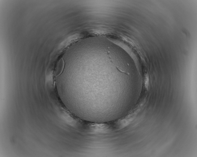 X0000112030428200908101343