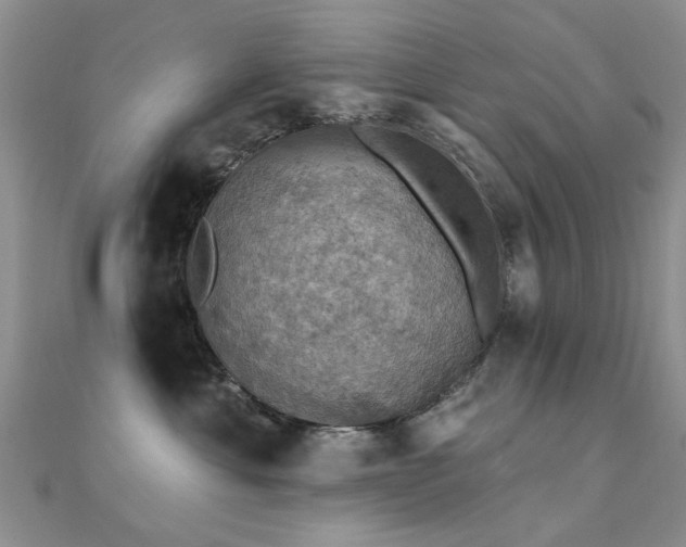 X0000112030429200908101343