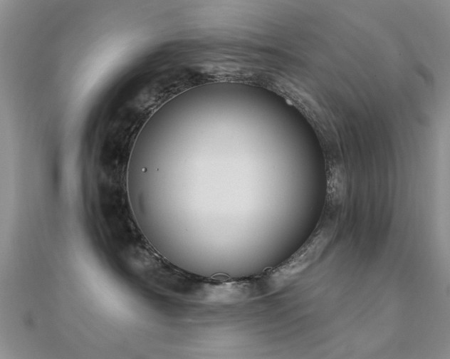 X0000112030430200908101343