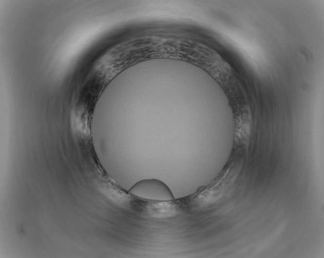 X0000112030431200908101343