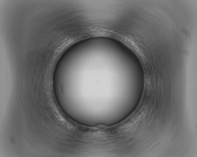 X0000112030433200908101342