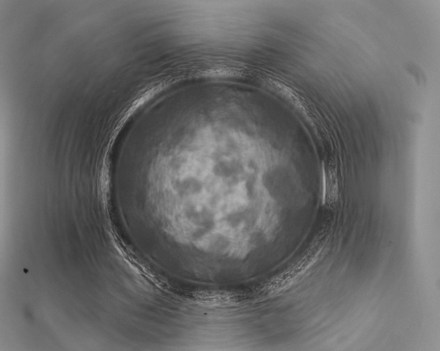 X0000112030435200908101342