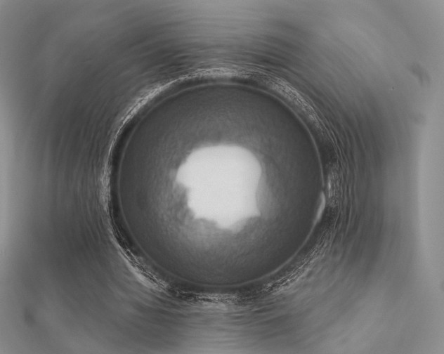 X0000112030436200908101342