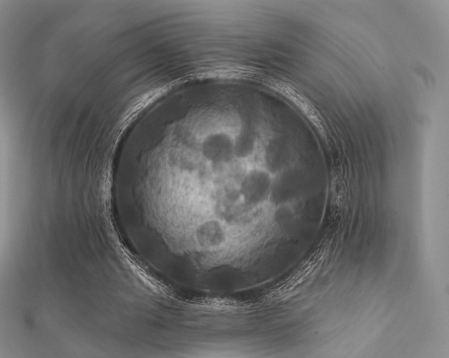 X0000112030437200908101342