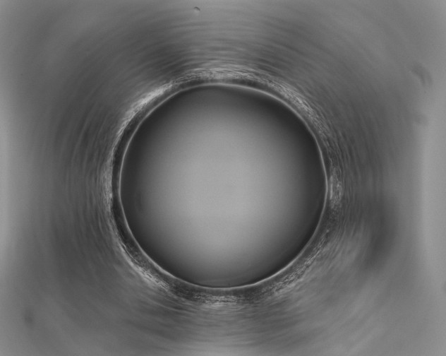 X0000112030438200908101342