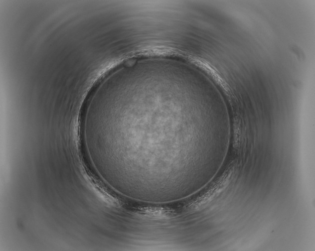 X0000112030439200908101342