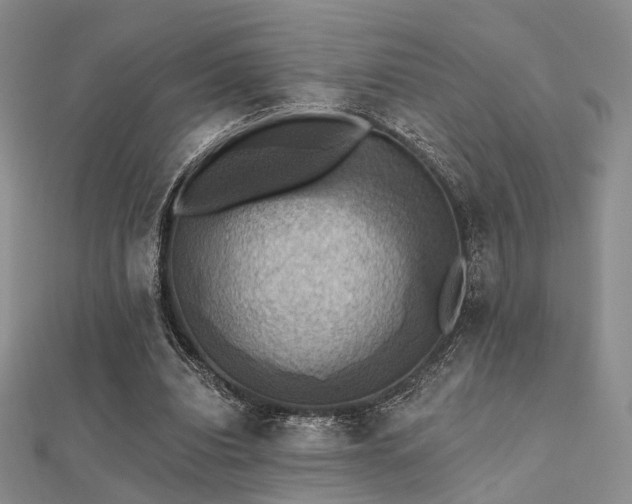 X0000112030440200908101342