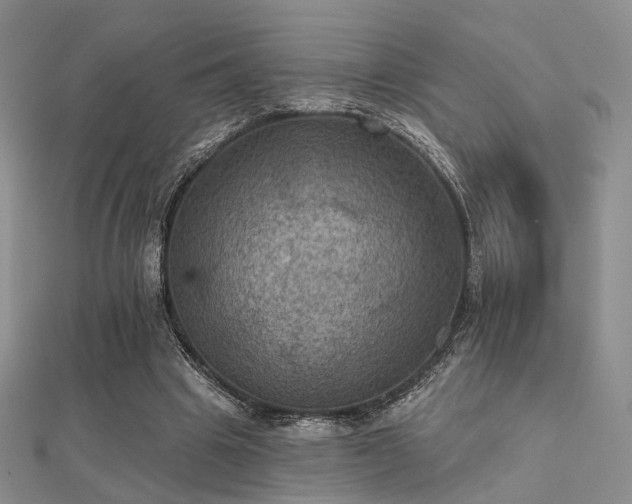 X0000112030441200908101342