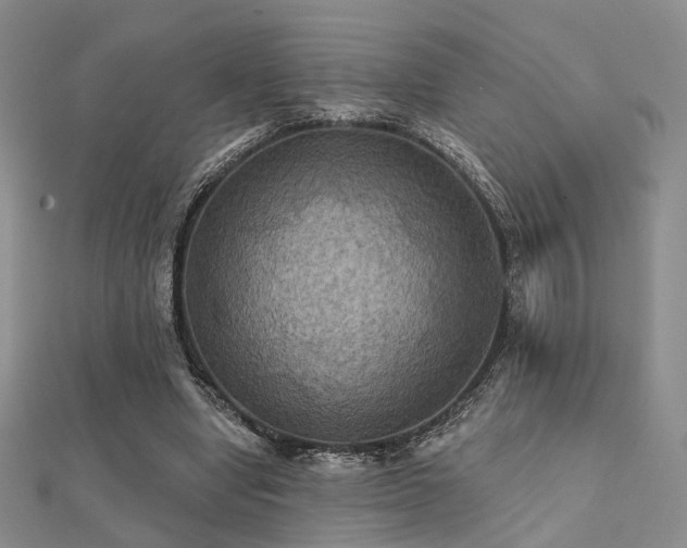 X0000112030442200908101342