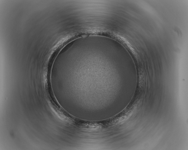 X0000112030443200908101342