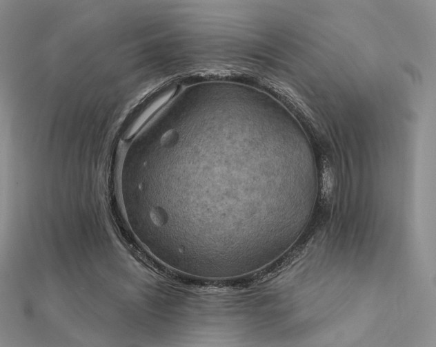 X0000112030444200908101342