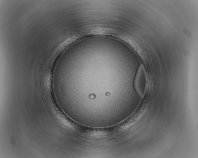 X0000112030445200908101342