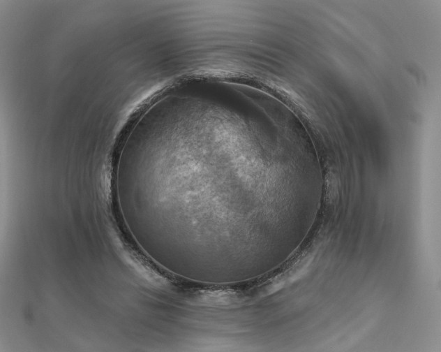 X0000112030446200908101342