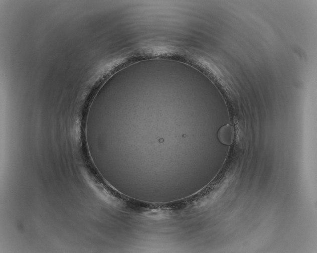 X0000112030447200908101342