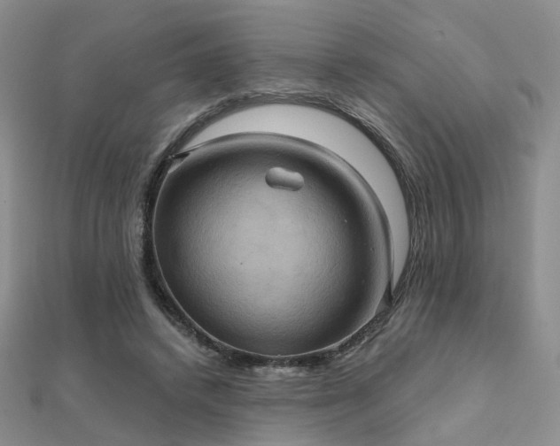 X0000112030448200908101342