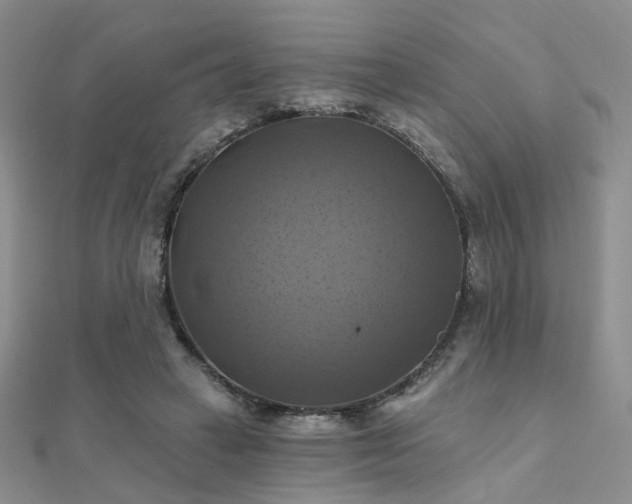 X0000112030449200908101343