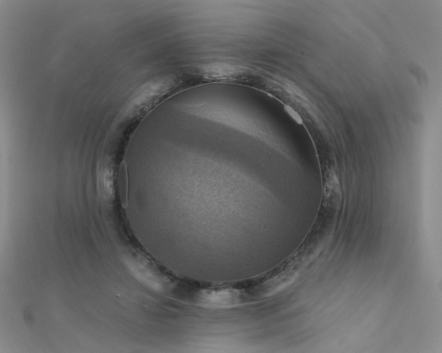 X0000112030452200908101343