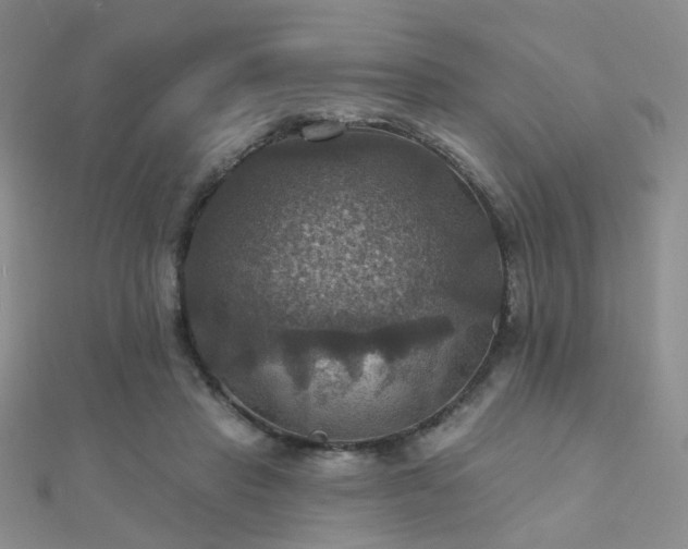 X0000112030453200908101343