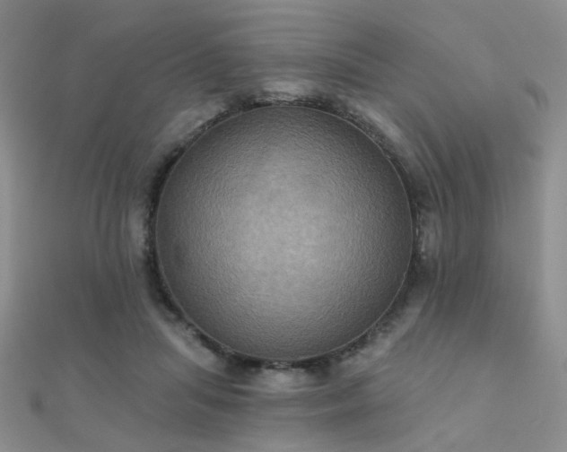 X0000112030455200908101343