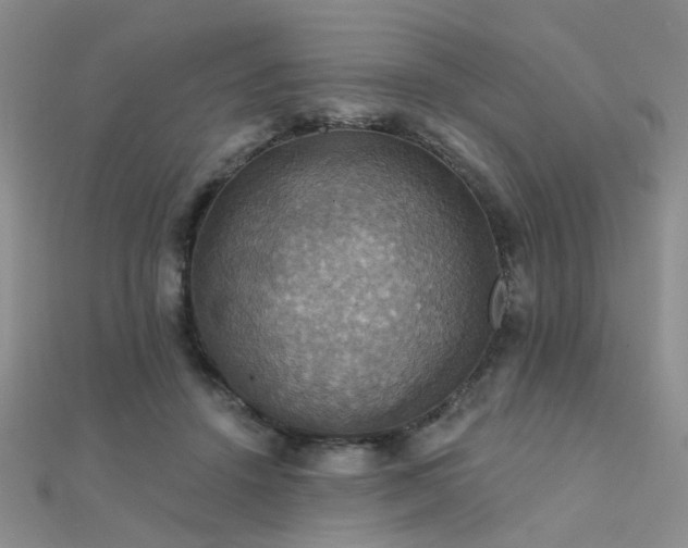 X0000112030456200908101343