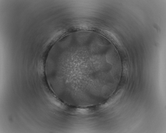 X0000112030457200908101343