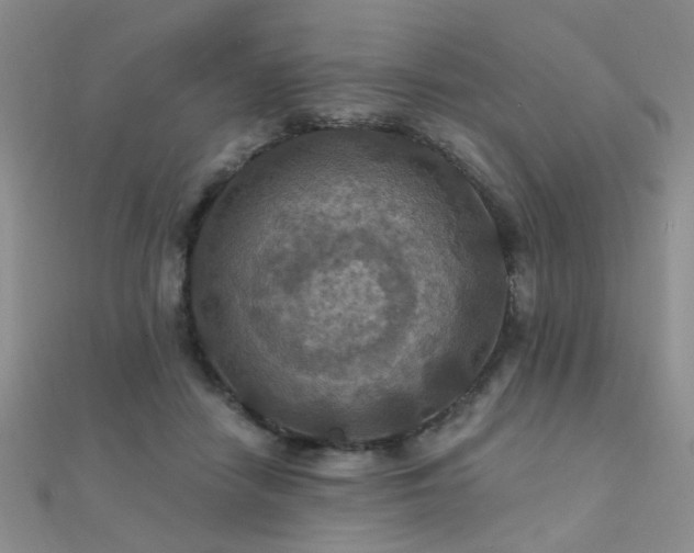 X0000112030458200908101343