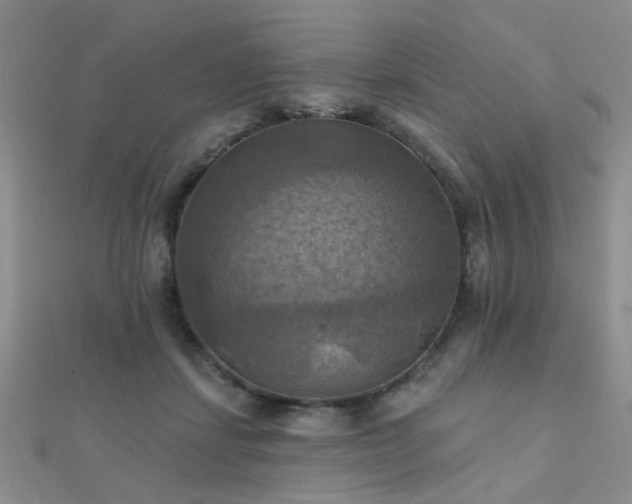 X0000112030459200908101343