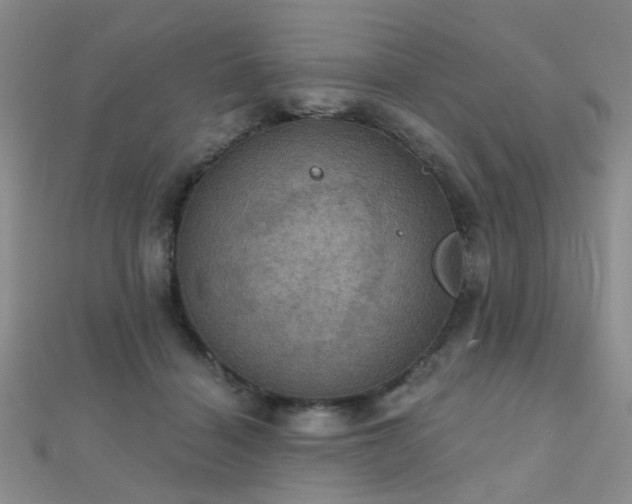 X0000112030460200908101343
