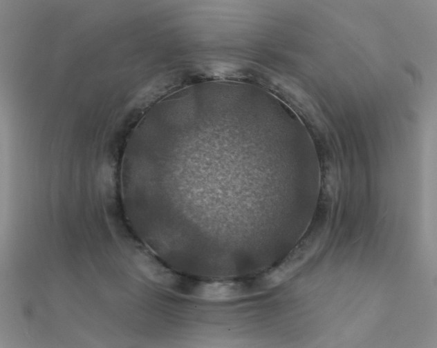 X0000112030461200908101343