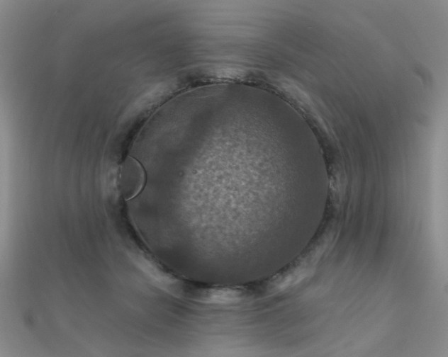 X0000112030462200908101343