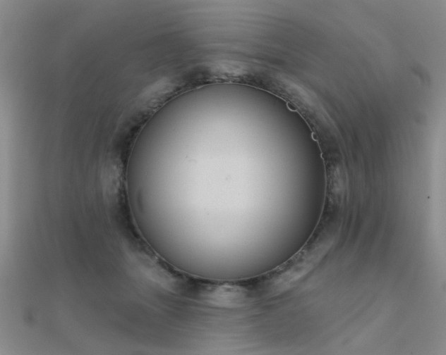 X0000112030463200908101343