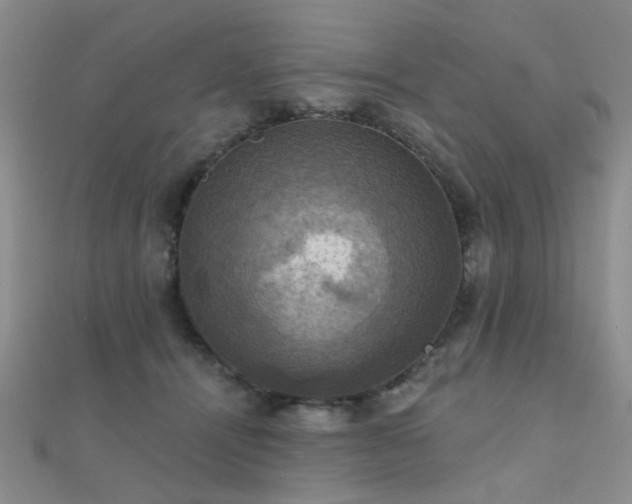 X0000112030464200908101343