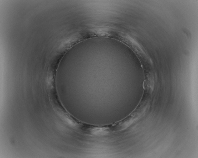 X0000112030465200908101343