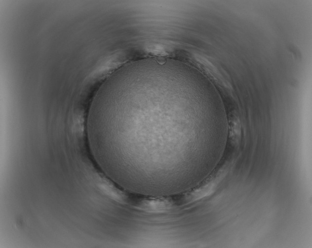 X0000112030466200908101343